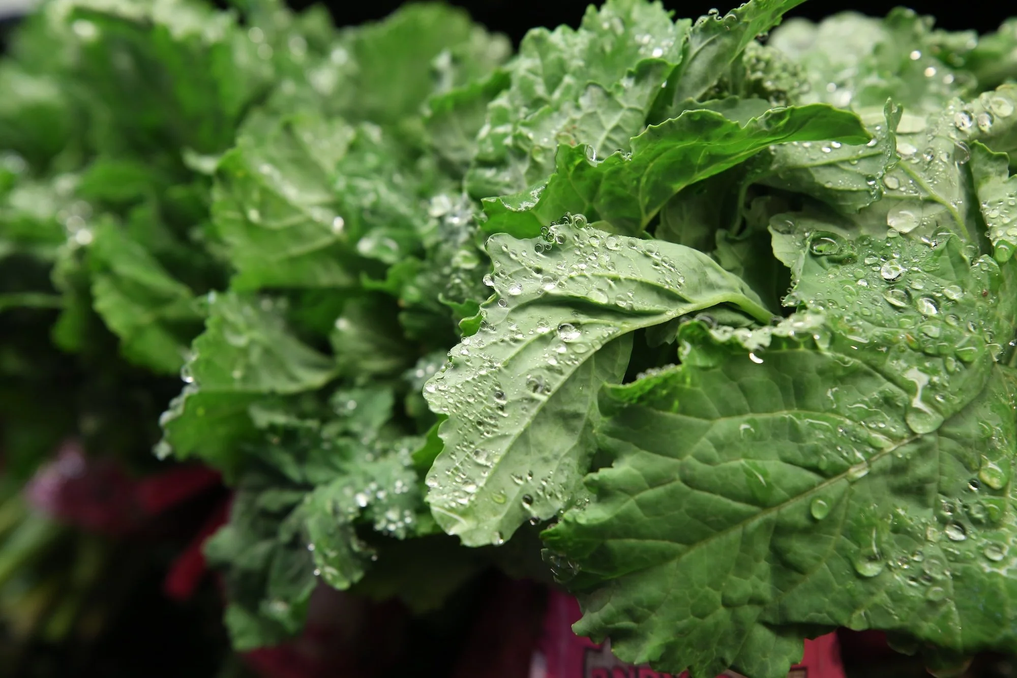 Big Spoon Co. - Services: Close up Photography of radish leaves