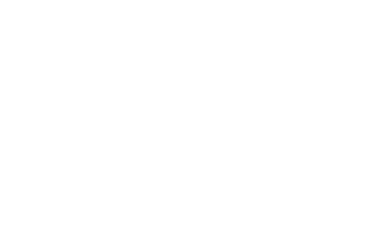 Pinnacle Sports logo with a stylized pyramid shape above the text