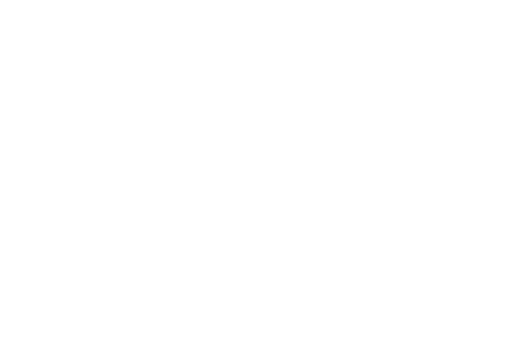 Logo for Holtzman Group Hospitality Experts, with large initials 'H' and 'G' and the full company name in smaller text.
