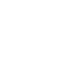 Icon of a credit card with a dollar sign in front of it.