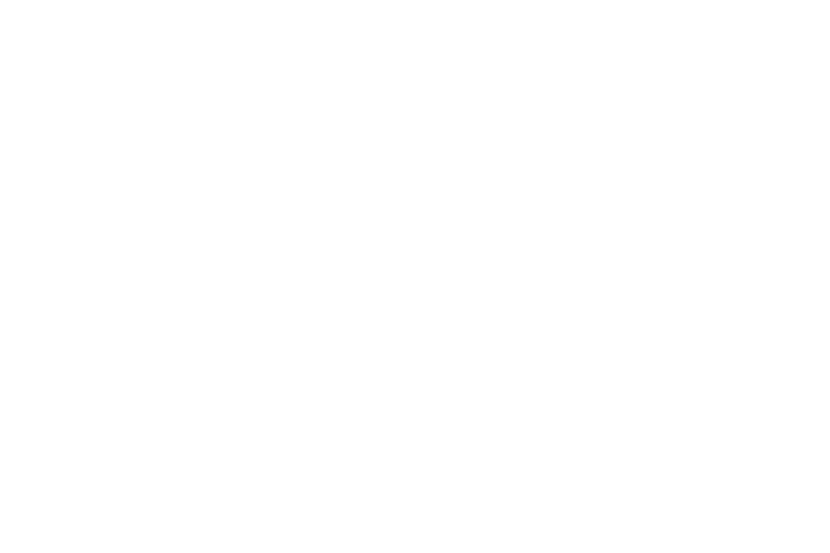 Capelli Sport logo in white text on a black background.