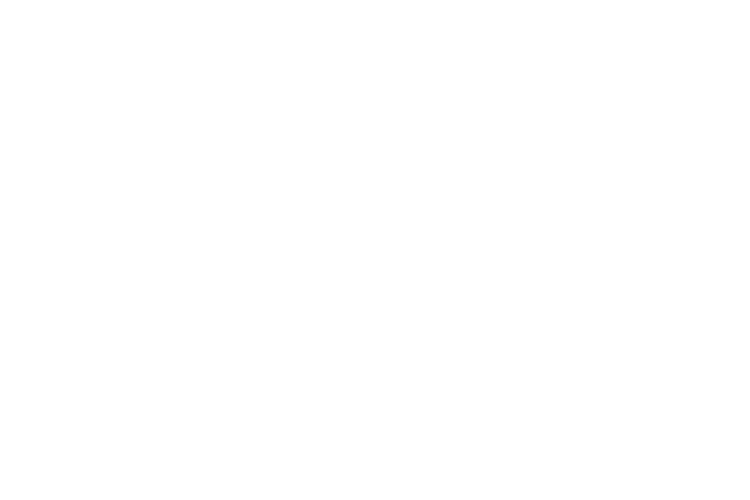 Logo for Next Level Parks featuring a star and four stacked rectangles forming a pyramid on the left, with the company name in bold white letters to the right on a black background.