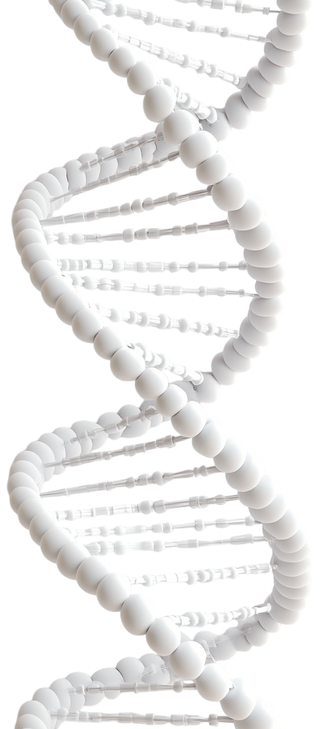 A 3D rendering of a DNA double helix structure with white spheres representing the nucleotide bases.