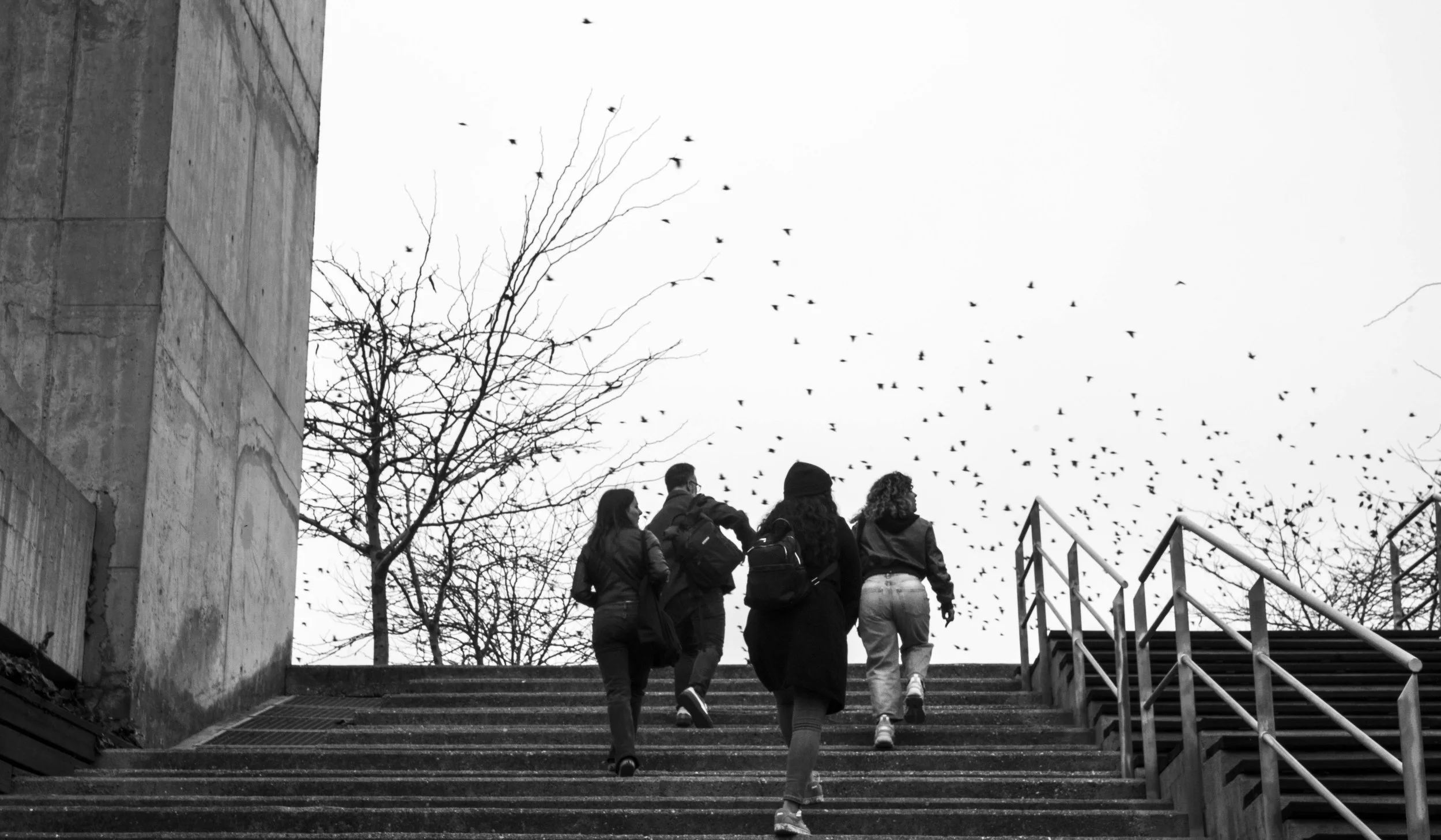 untitled-1-2.JPG