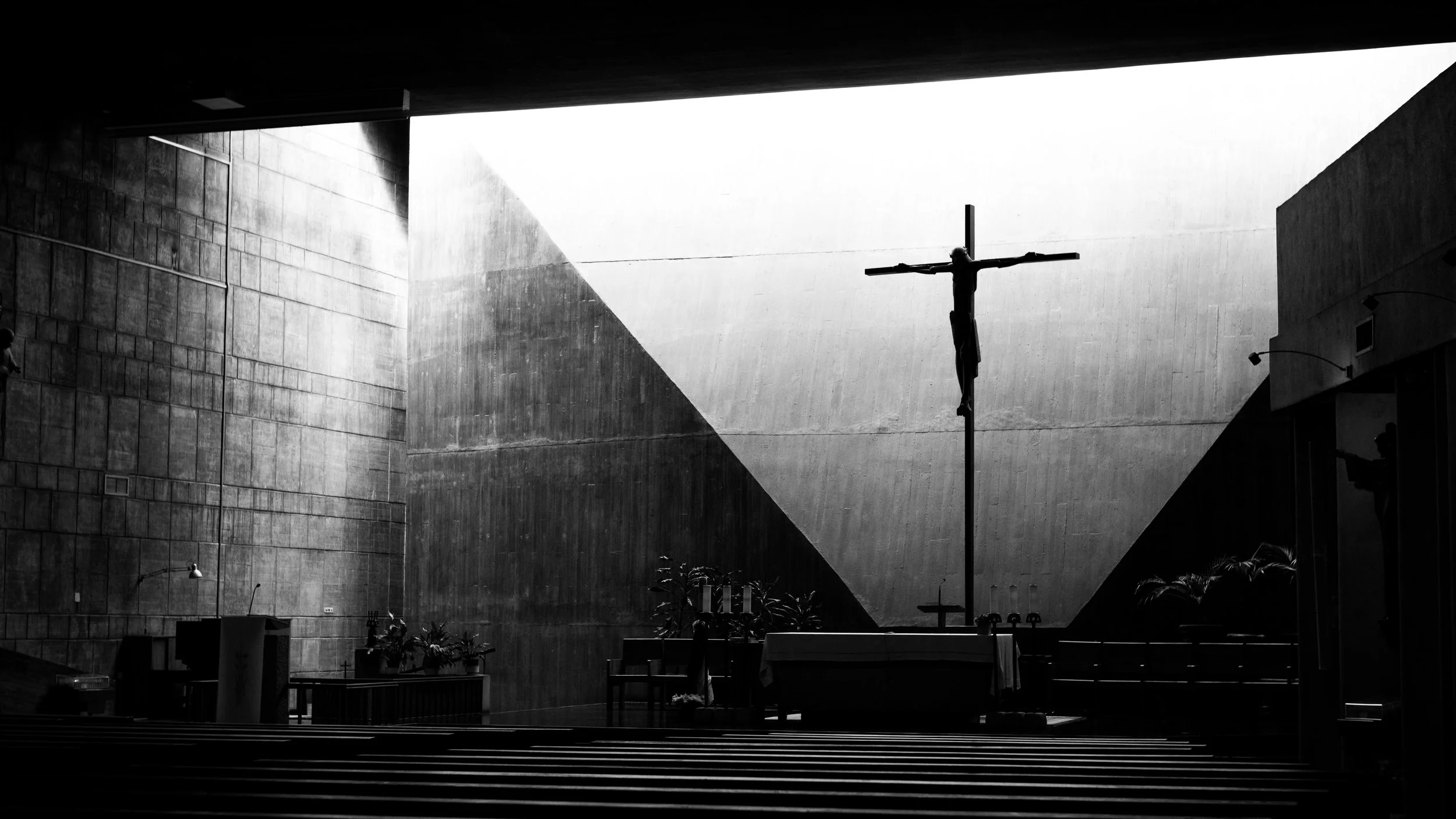 observacion mejor-10.JPG
