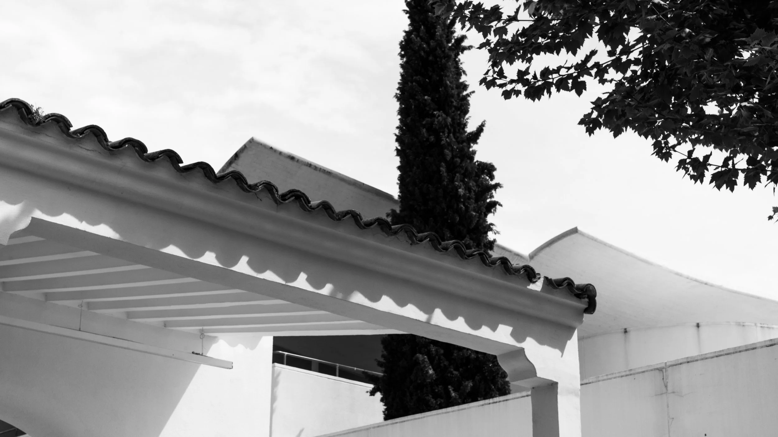 hipodromo-15.JPG