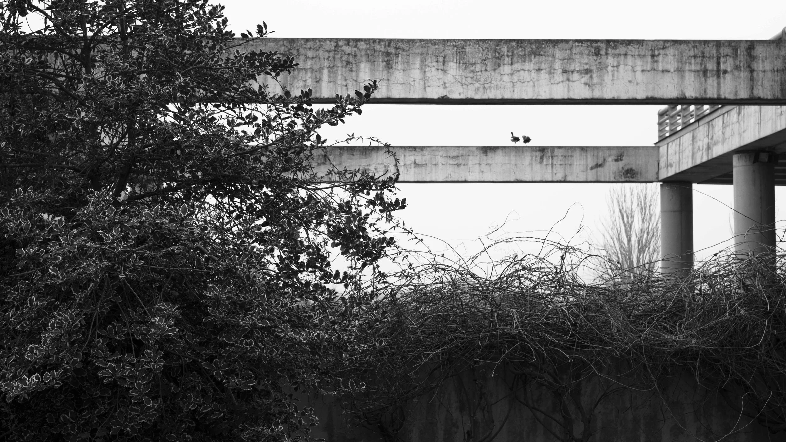 untitled-1-3.JPG