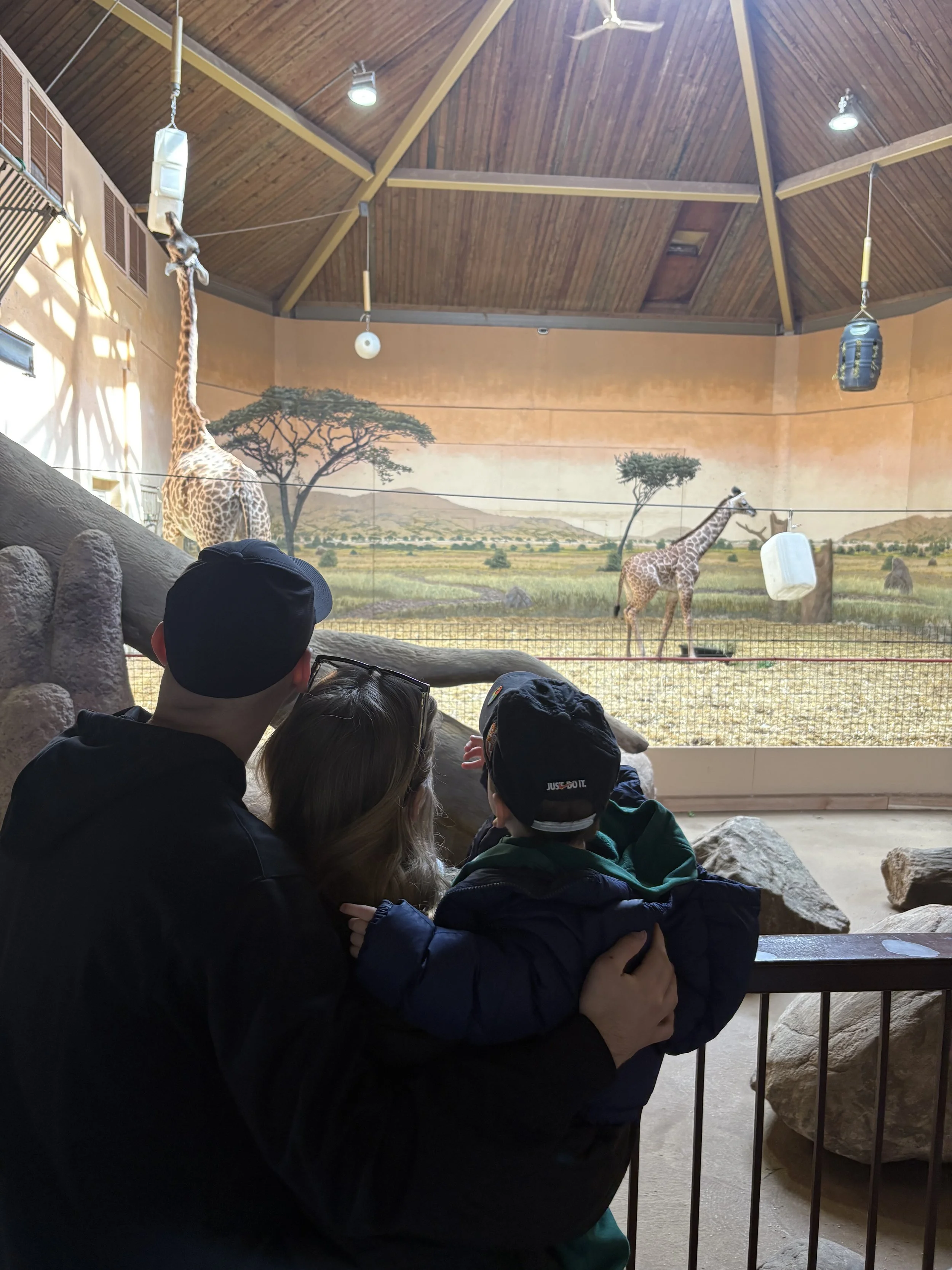 People observing giraffes at a zoo exhibit with a painted landscape background of trees and mountains.