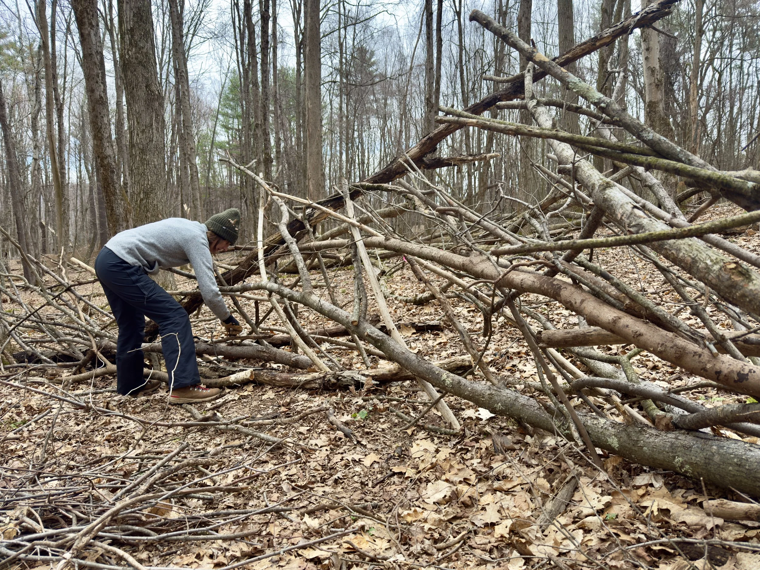 Installation: The Classroom of Natural Intelligence