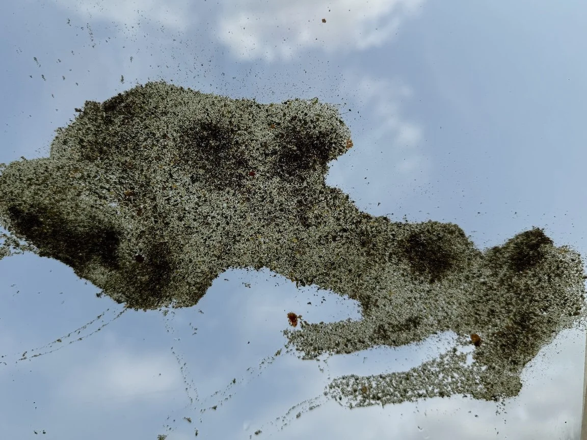 Material Explorations