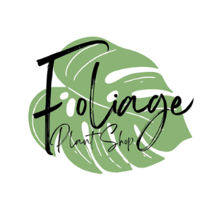 Logo with black and green abstract leaf design and stylized text reading 'Fio' with smaller text 'Designs' underneath.