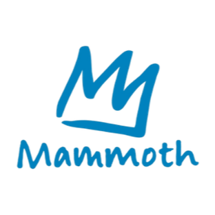 Blue stylized mountain logo with the word 'Mammoth' underneath.