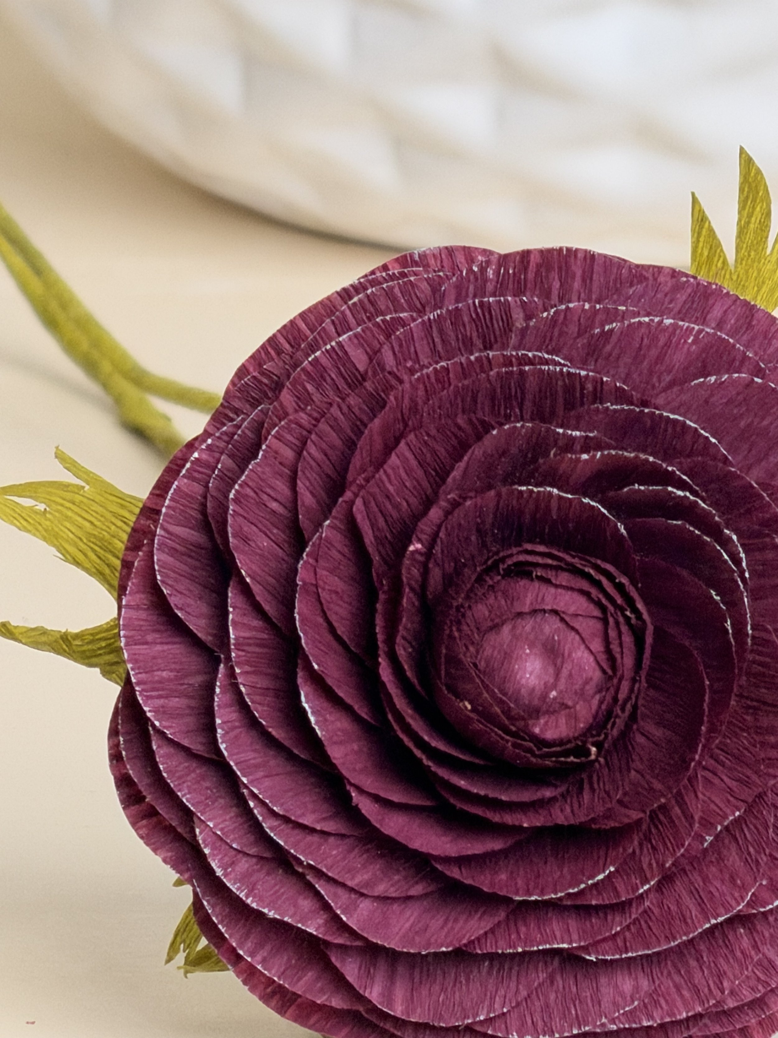 IMG_1721.jpg