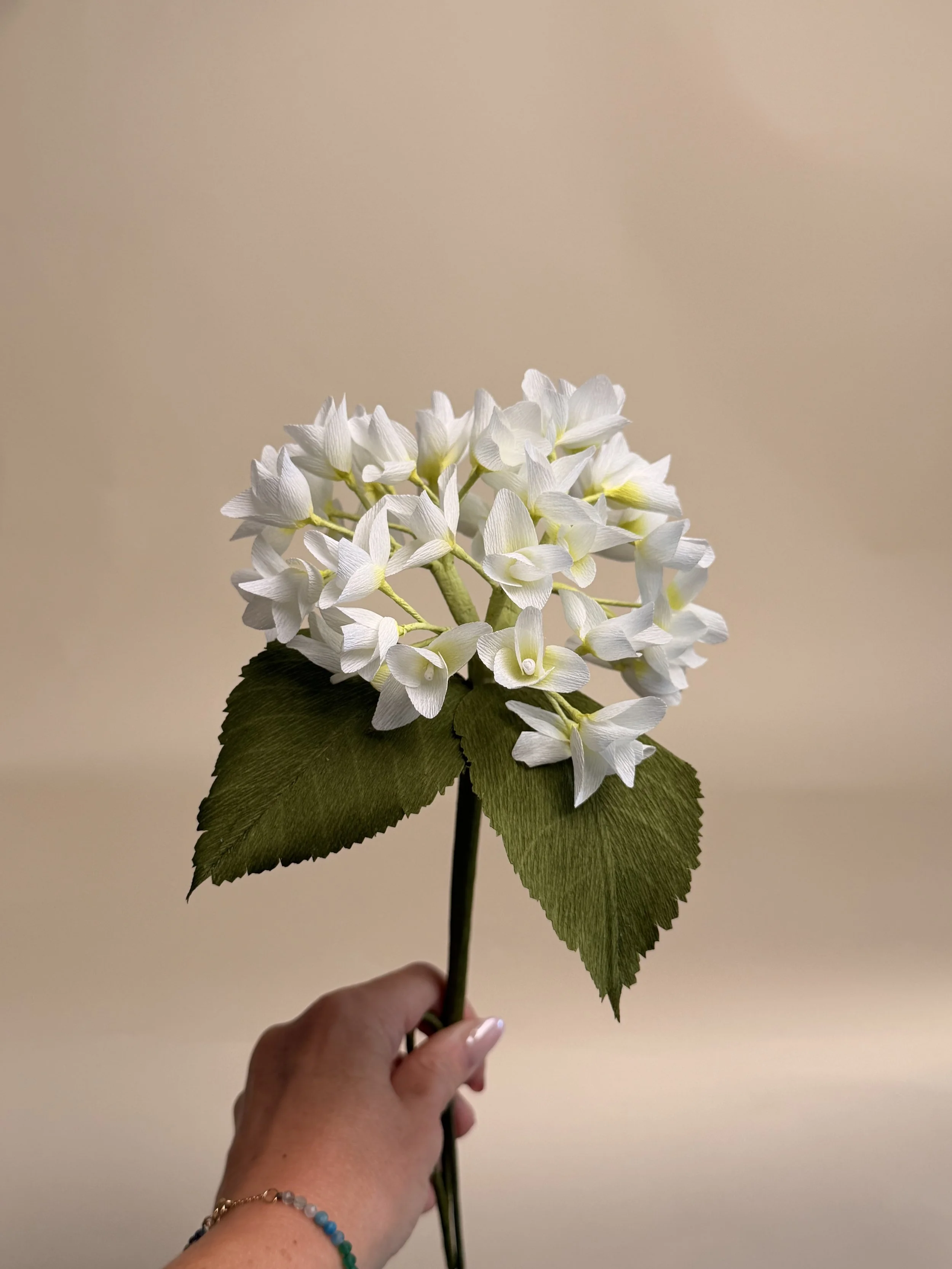 IMG_1768.jpg