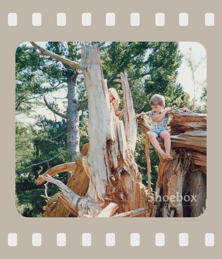 Two children, a girl and a boy, playing on a large, old tree log outdoors, surrounded by green trees.