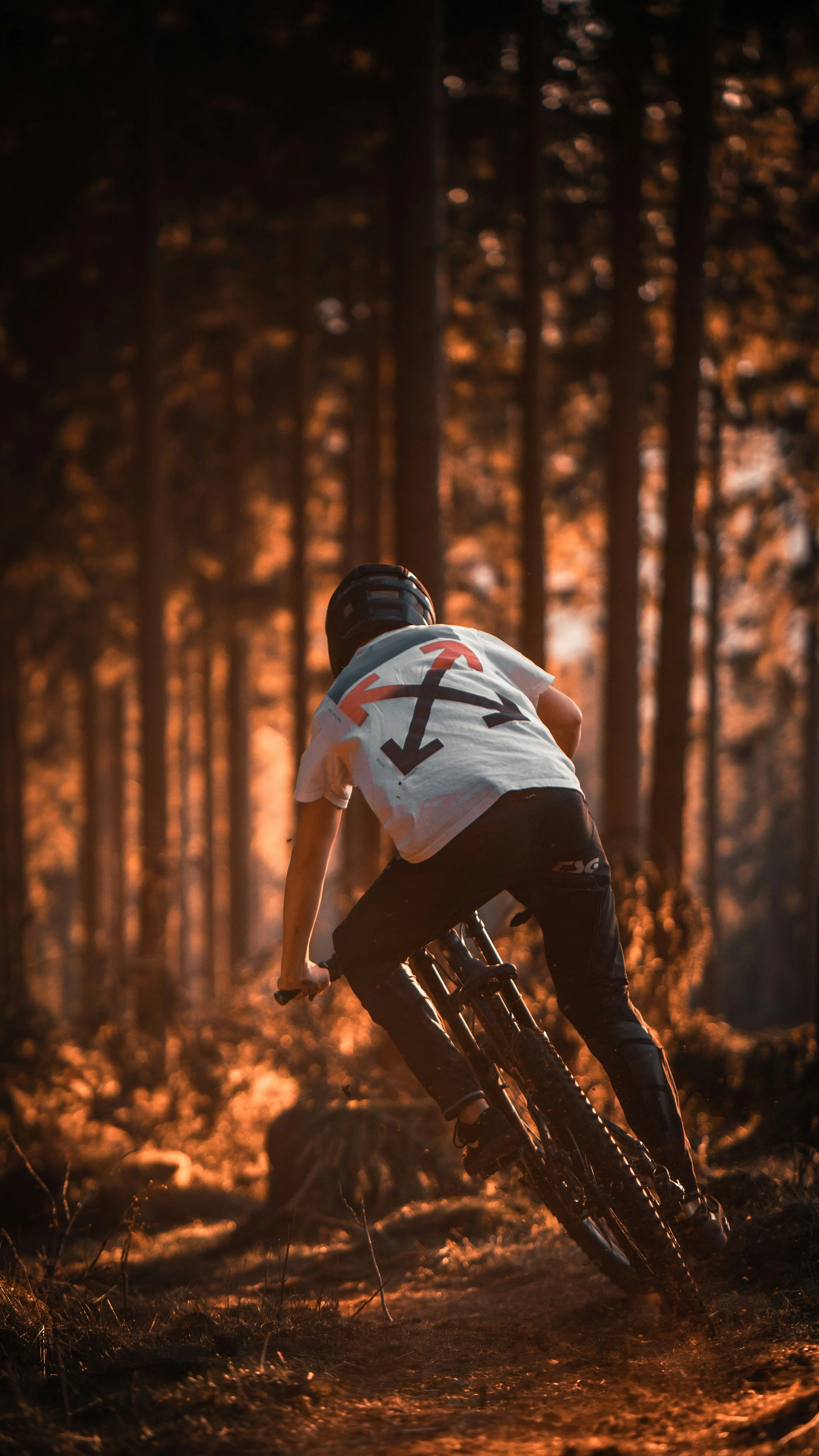 Mountain biking, coaching, Trail Craft