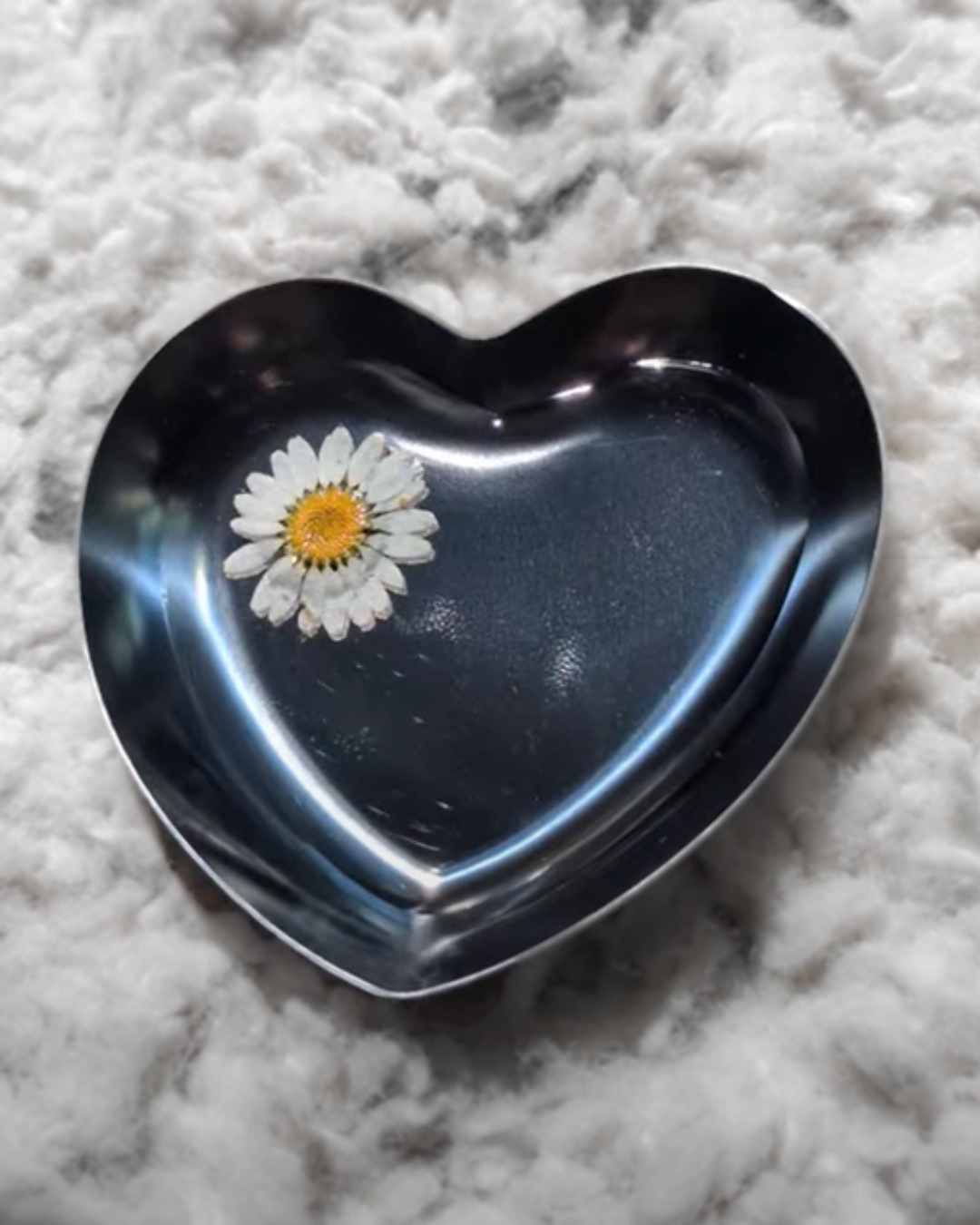 Heart Filled Tray w/ Daisy