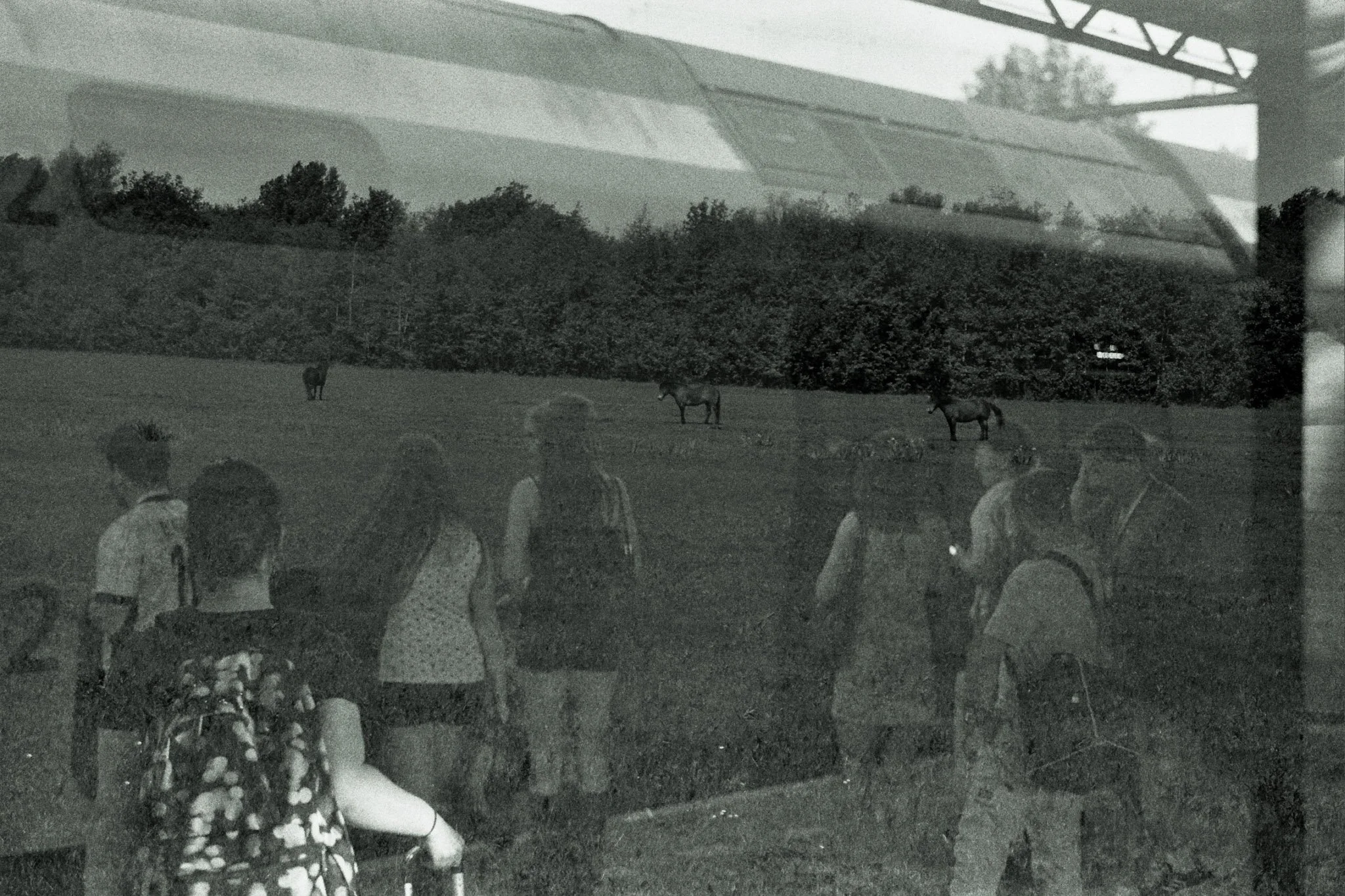A black and white photo showing children standing outdoors near a fence, with a field and trees in the background. There are horses grazing in the field and a large industrial structure, possibly a bridge or crane, is visible overhead.