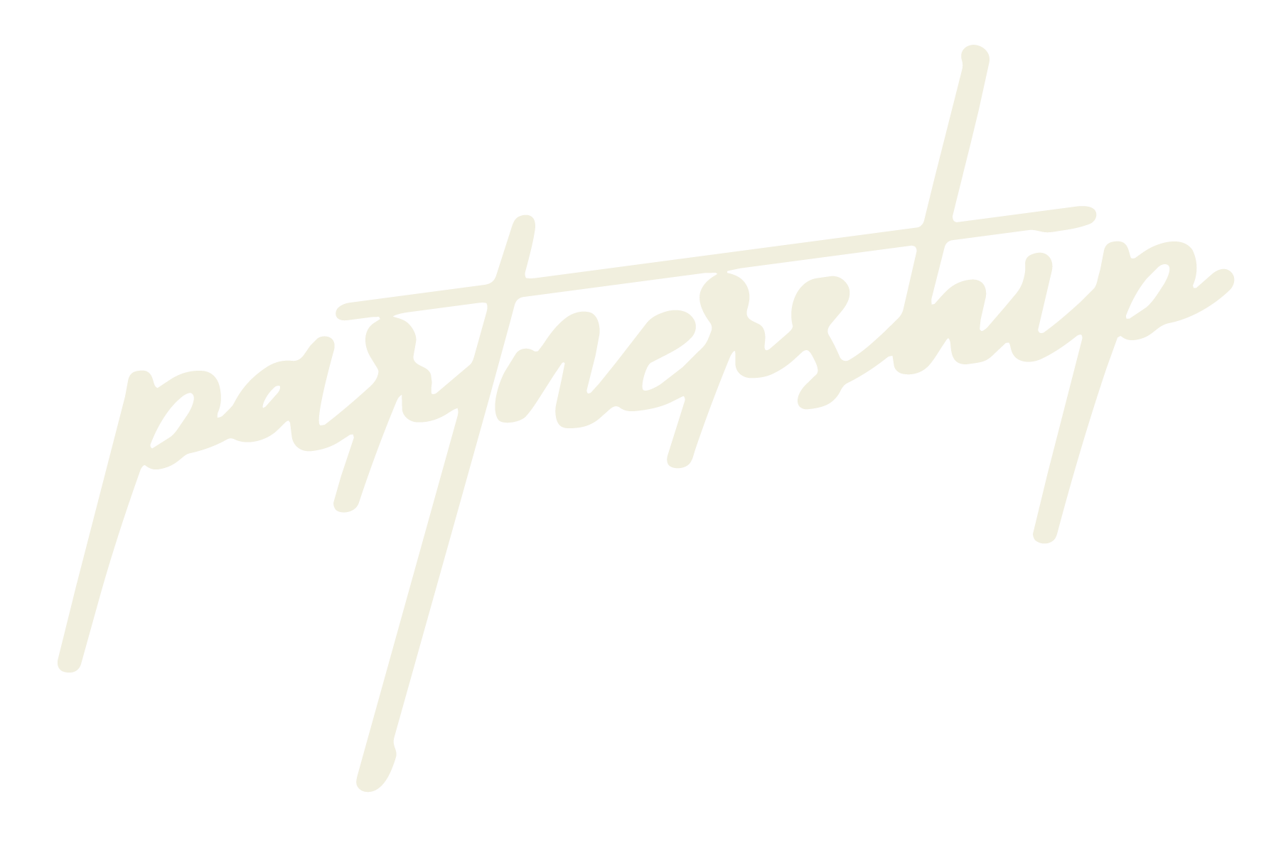Neon sign with the word 'partnership' written in cursive font
