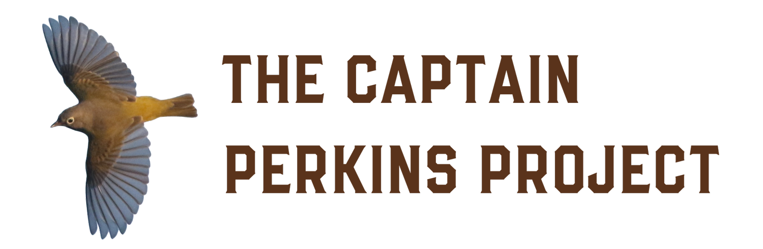 The Captain Perkins Project