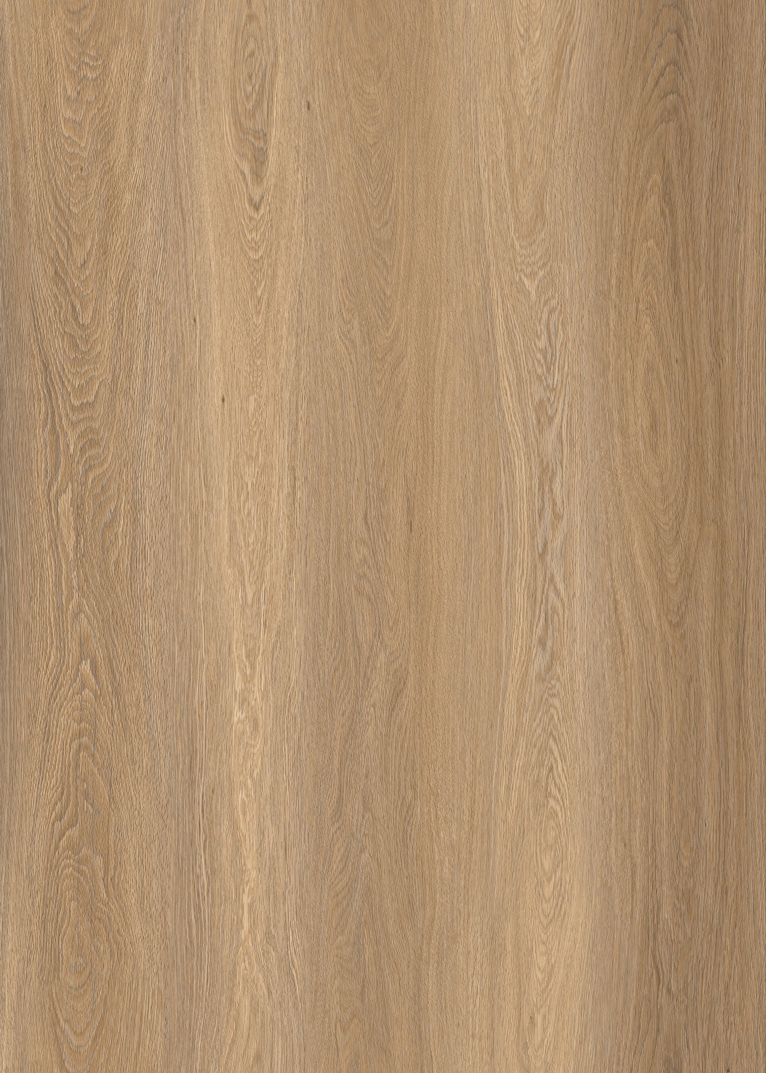 Fertile Oak SPC flooring plank, warm mid-tone oak with gentle amber tones