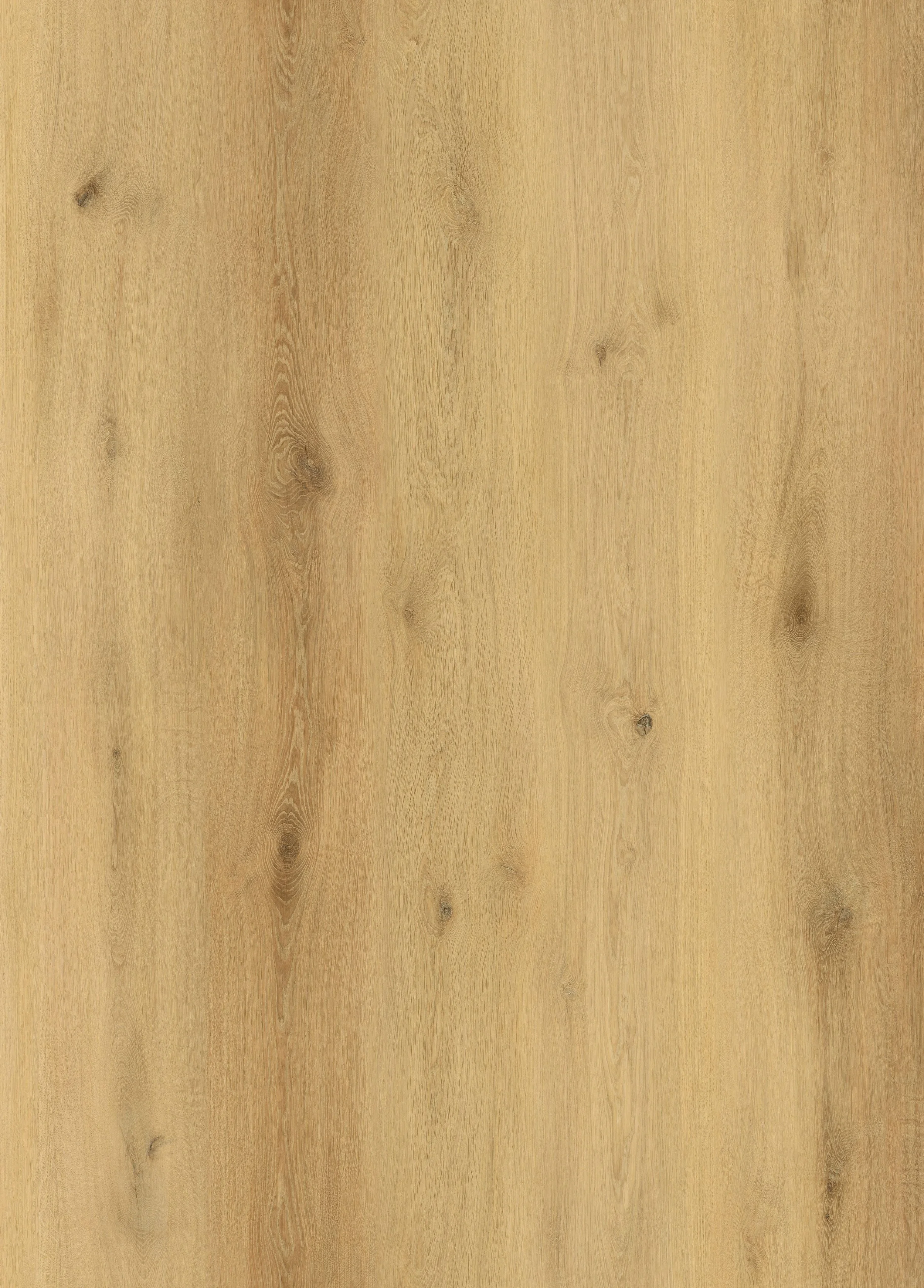 Close-up of a light-colored wooden surface with visible wood grain and knots.