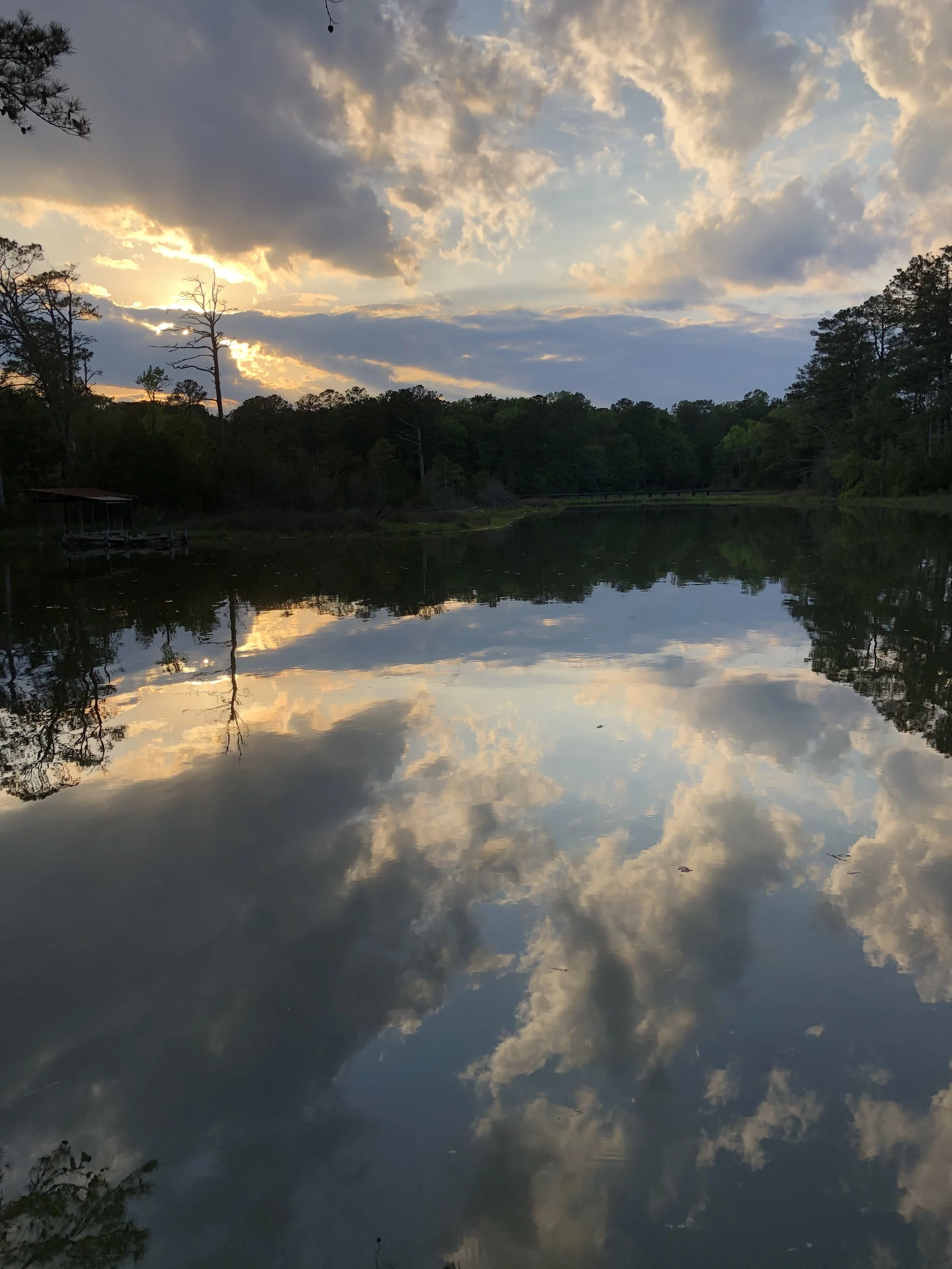 Sunset over a calm lake, with reflections of the sky and clouds on the water's surface, surrounded by trees.