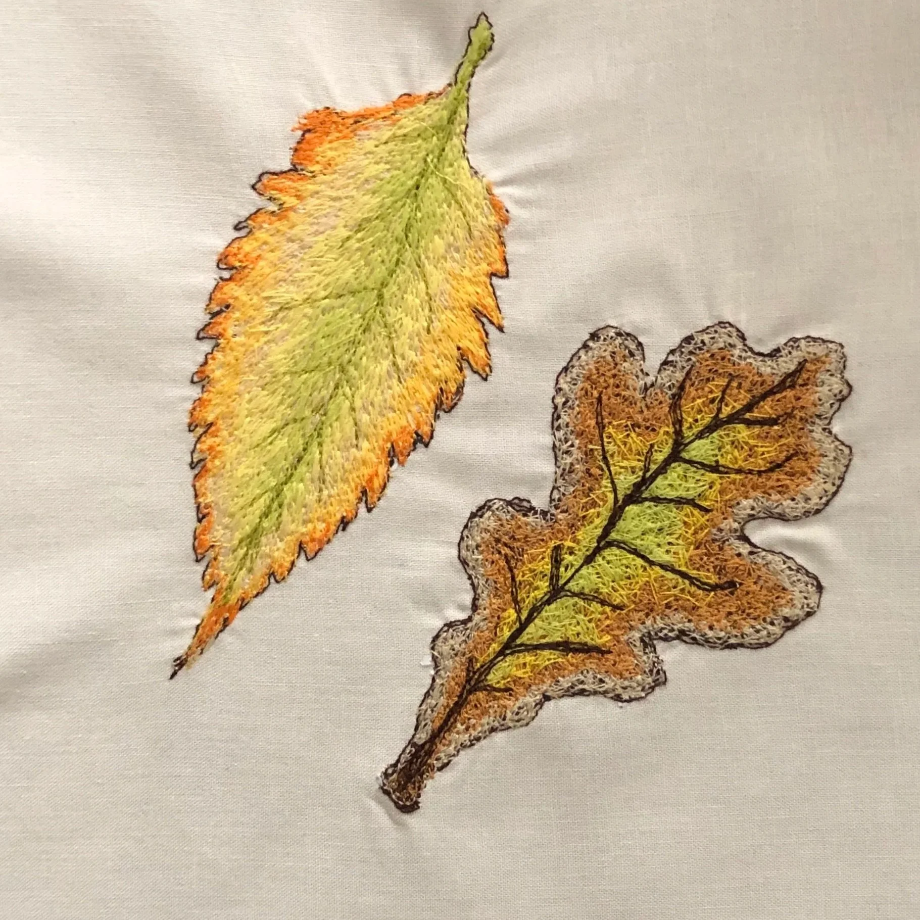 Fall+leaves.jpg