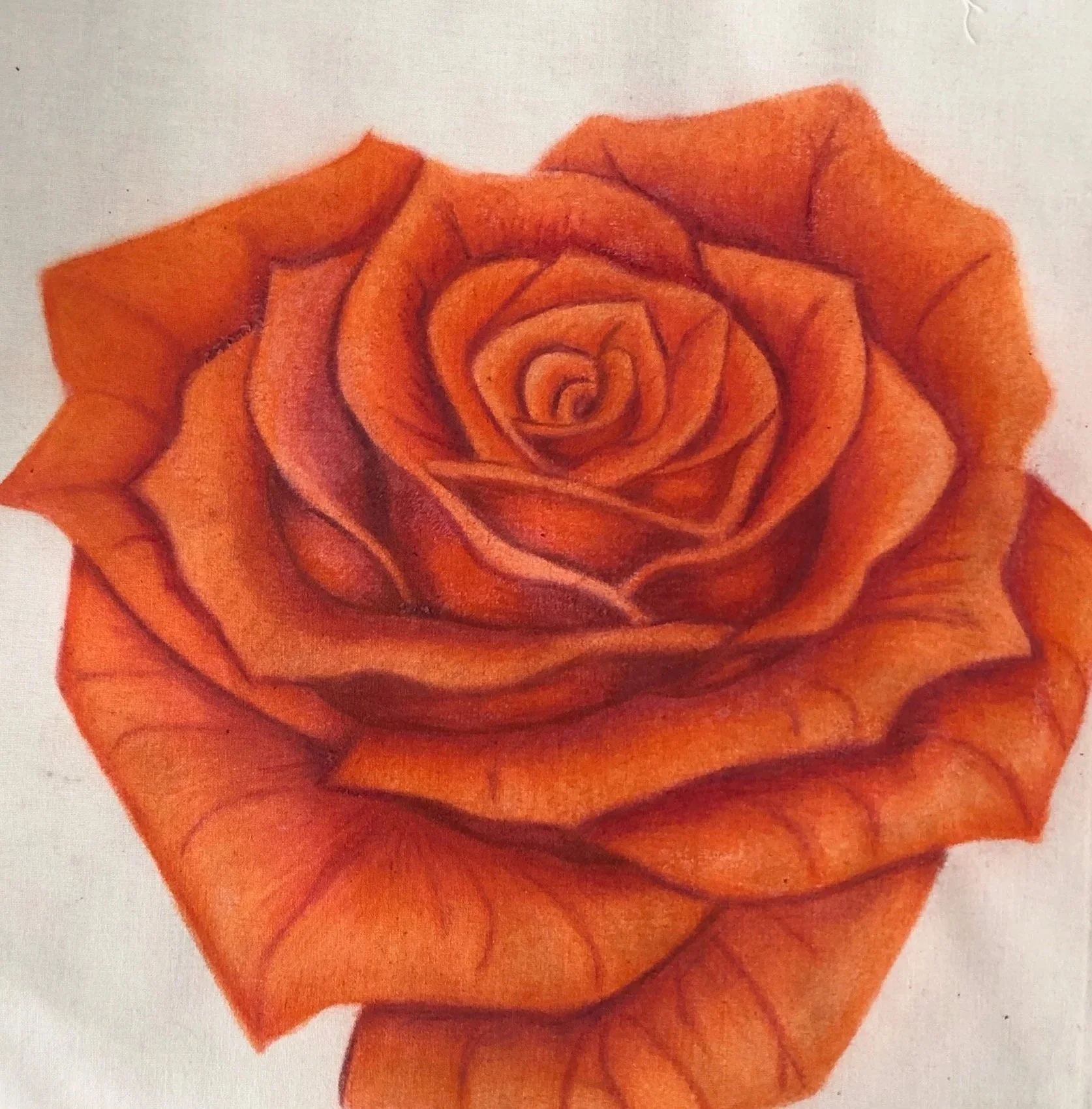 Rose+Sample.jpg