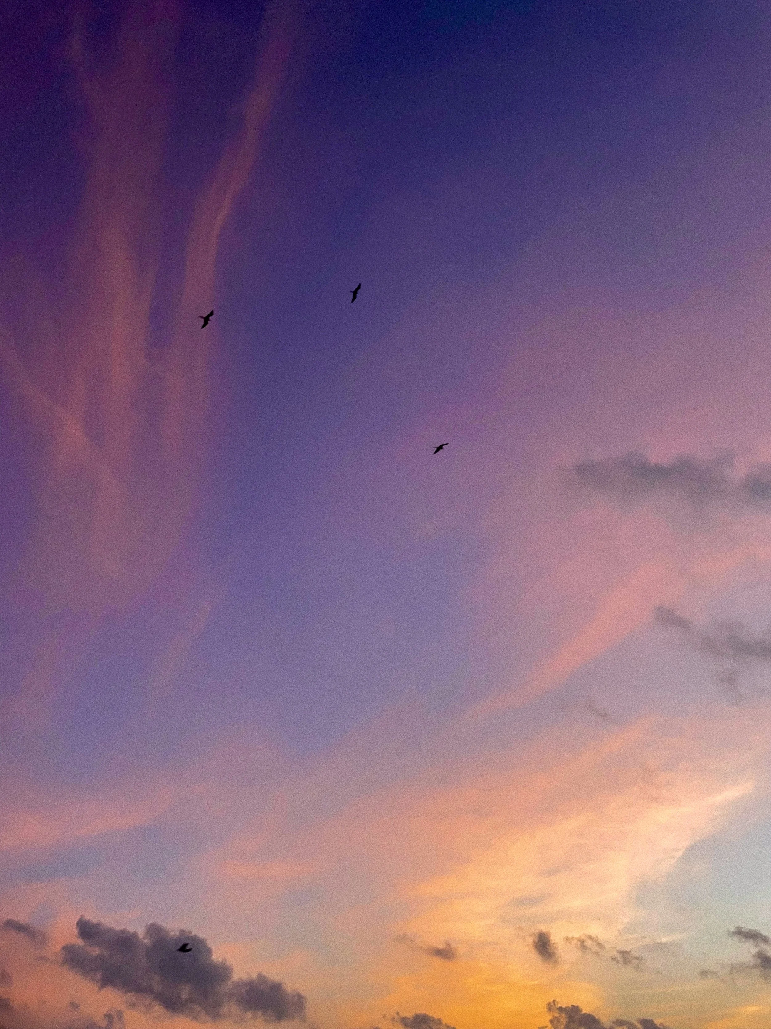 A colorful sky during sunset with purple, pink, orange, and yellow hues and a few scattered clouds. Two birds are flying in the distance, visible as small dark silhouettes against the sky.