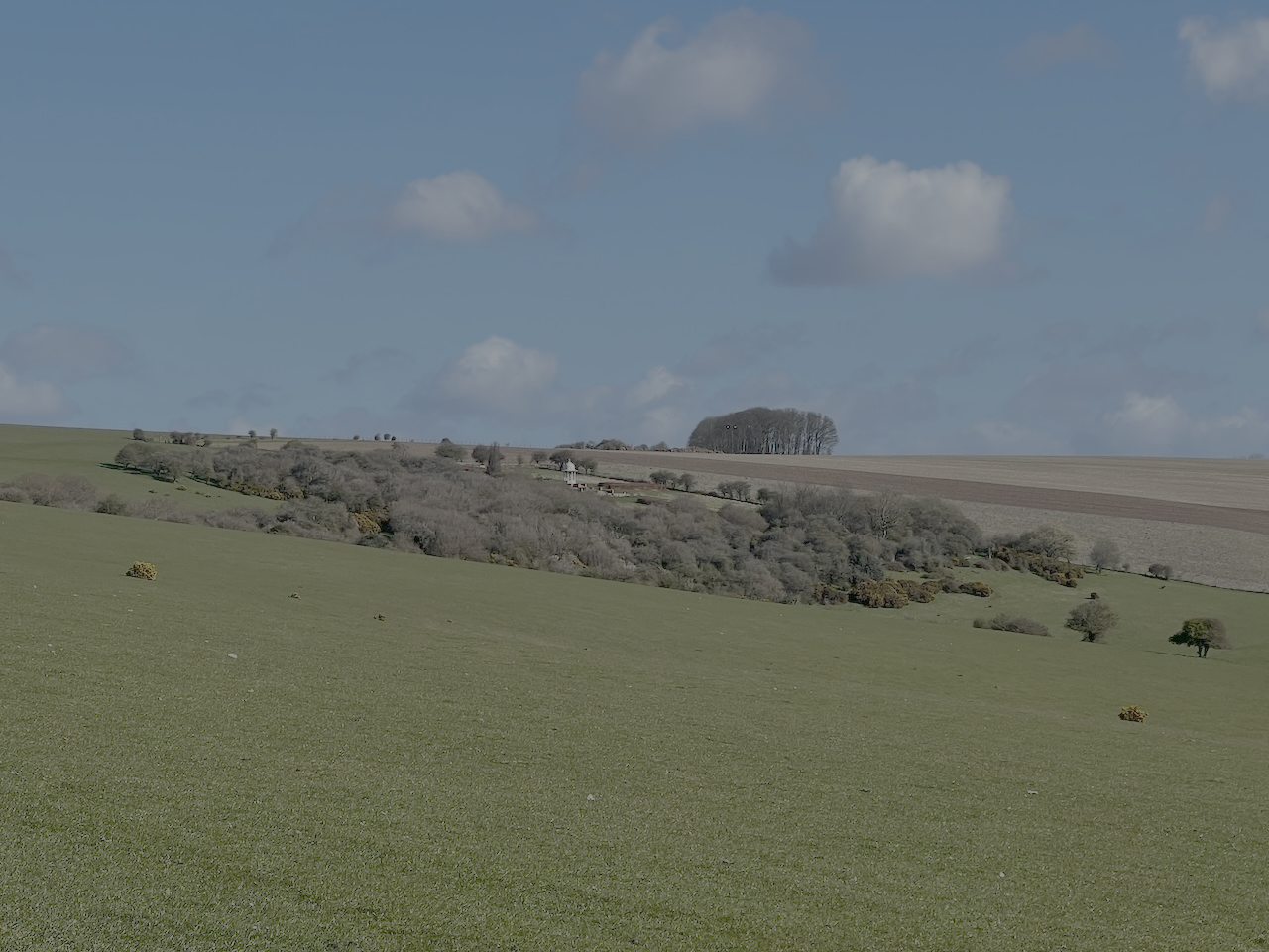 A scenic landscape of rolling green hills with sparse trees, shrubs, and a distant forest under a partly cloudy sky.