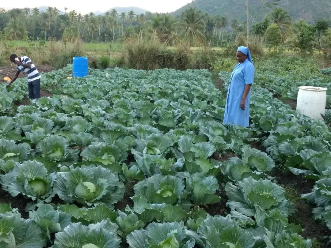 A woman in a blue dress standing in a field of green leafy crops, with a boy working in the background, surrounded by trees and mountains.