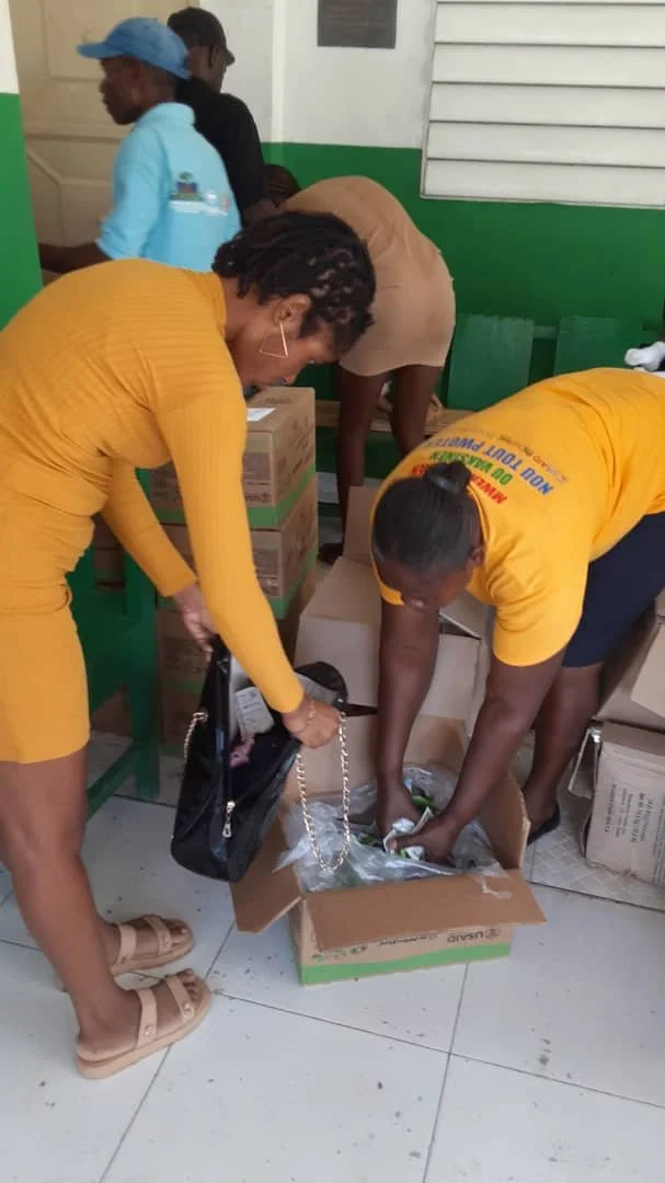 People packing boxes in a room with green and white walls for local Haitian aide.