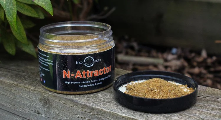 N-Attractor_002.jpg