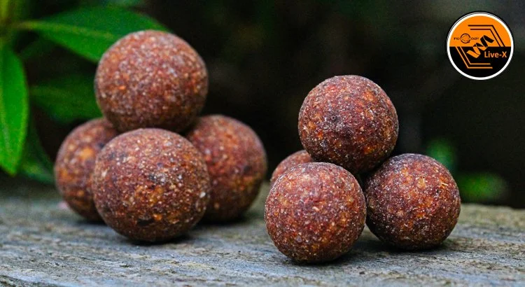 Live-X Boilies