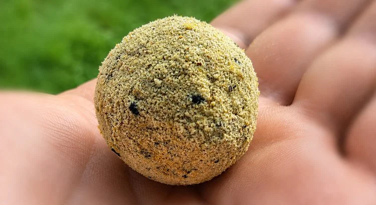 Coated Hook baits