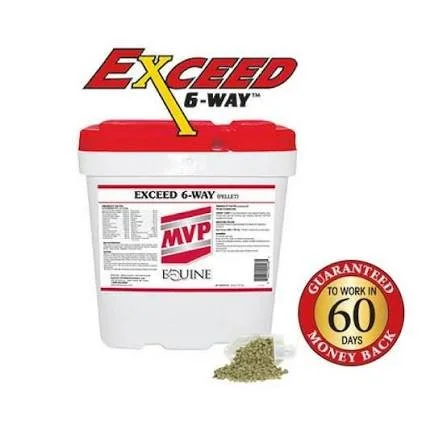 Exceed 6 Way 32lb
