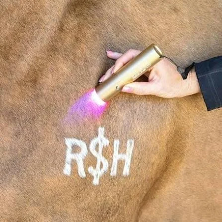Ignite Handheld Therapy Light