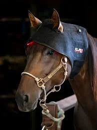 Redline Poll/Neck Wrap