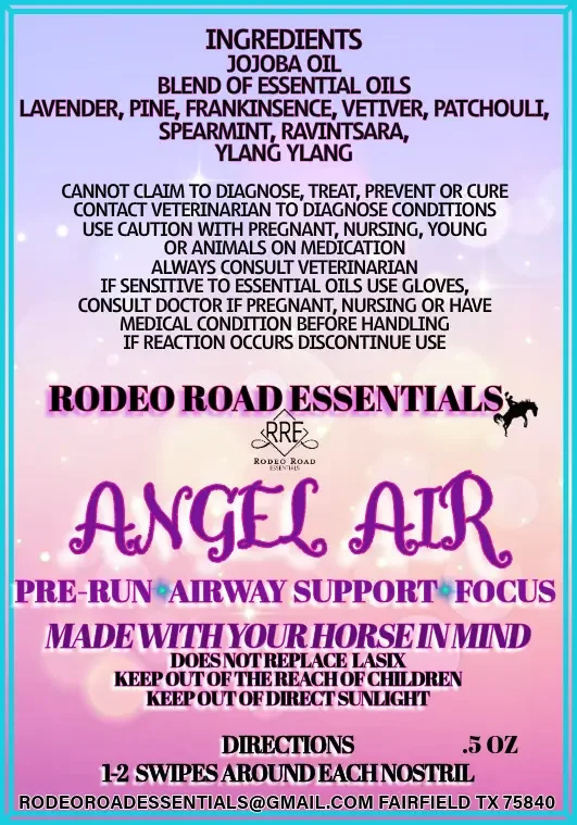 ANGELAIR_b9867284-c134-4d66-b1b4-c65a1d8be2d1.webp