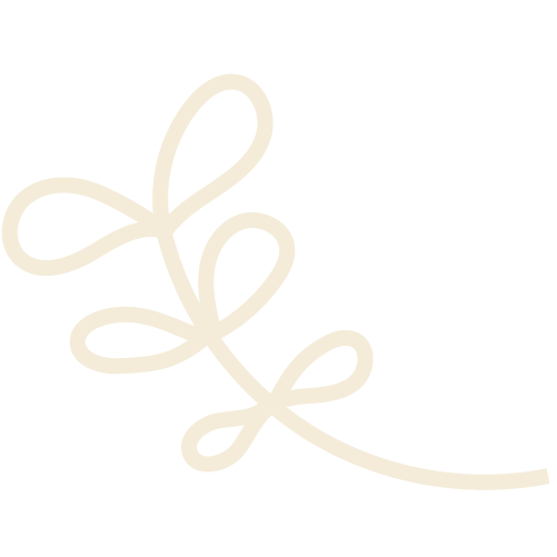 An imperfect stem with leaves outline icon.