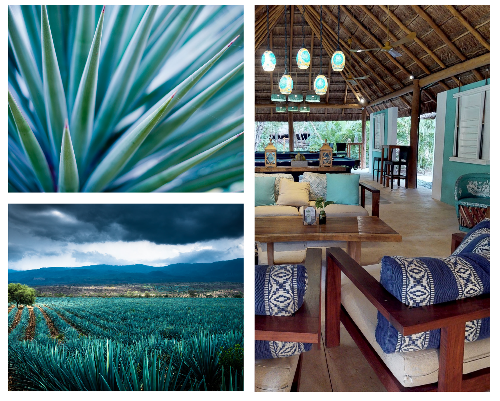 Mahekal Beach Resort: Inspiration for Agave bar logo.