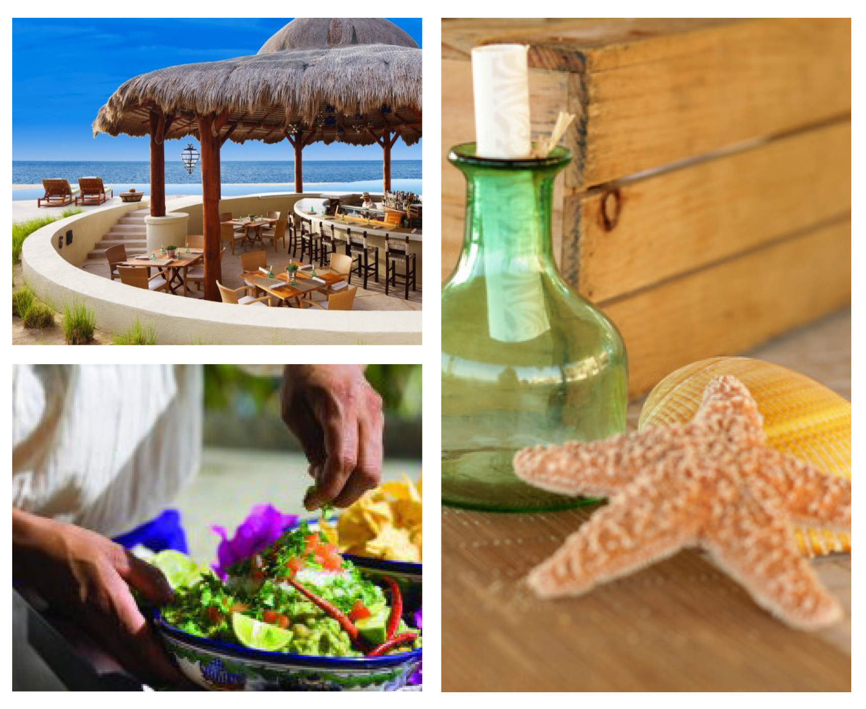 The Resort at Pedregal: Inspiration for Crudo bar logo.