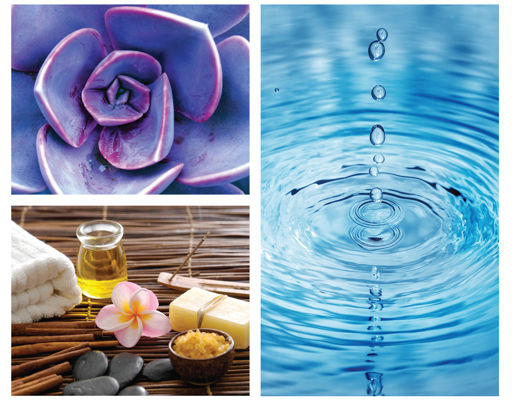 Mahekal Beach Resort: Inspiration for Revive Spa logo..