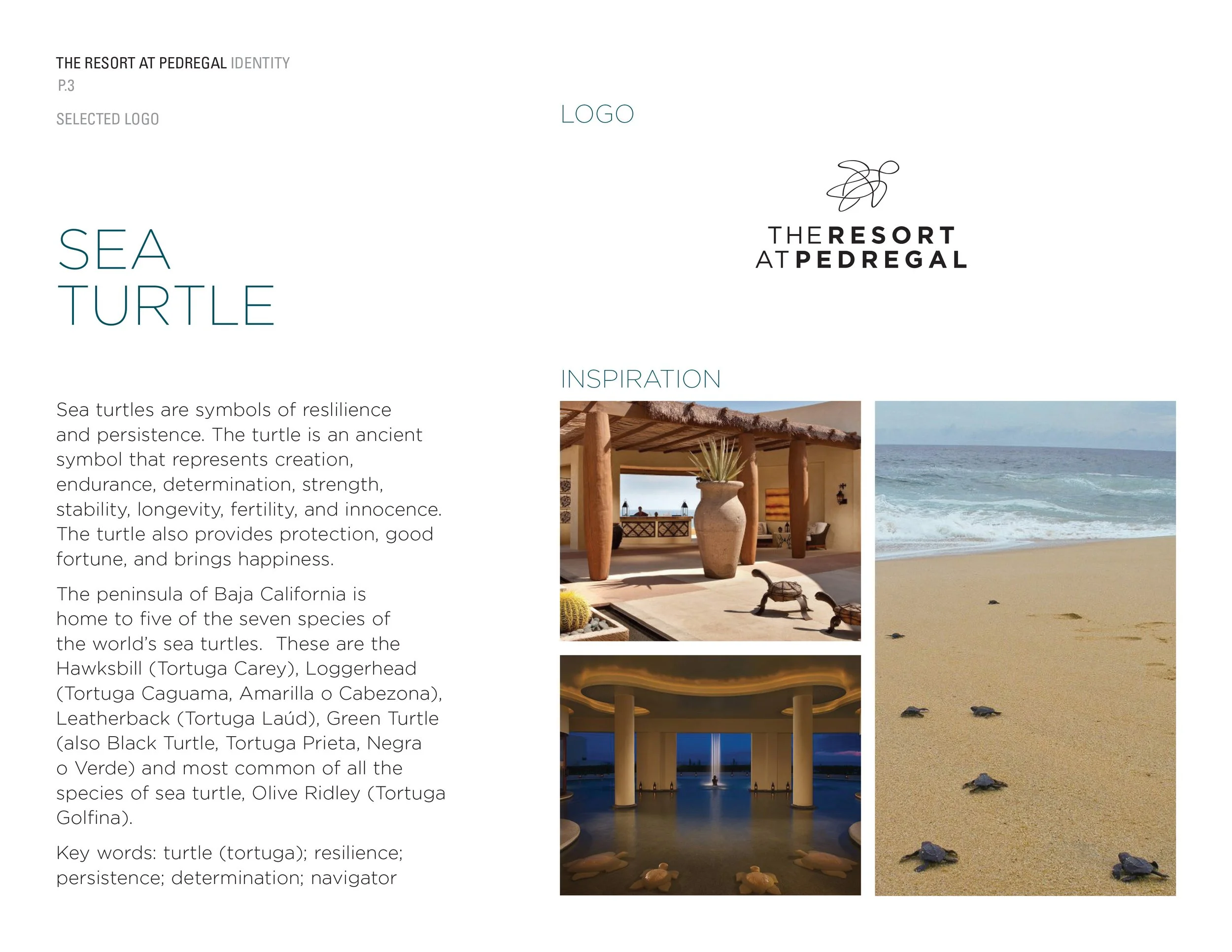 The Resort at Pedregal: Inspiration for logo.