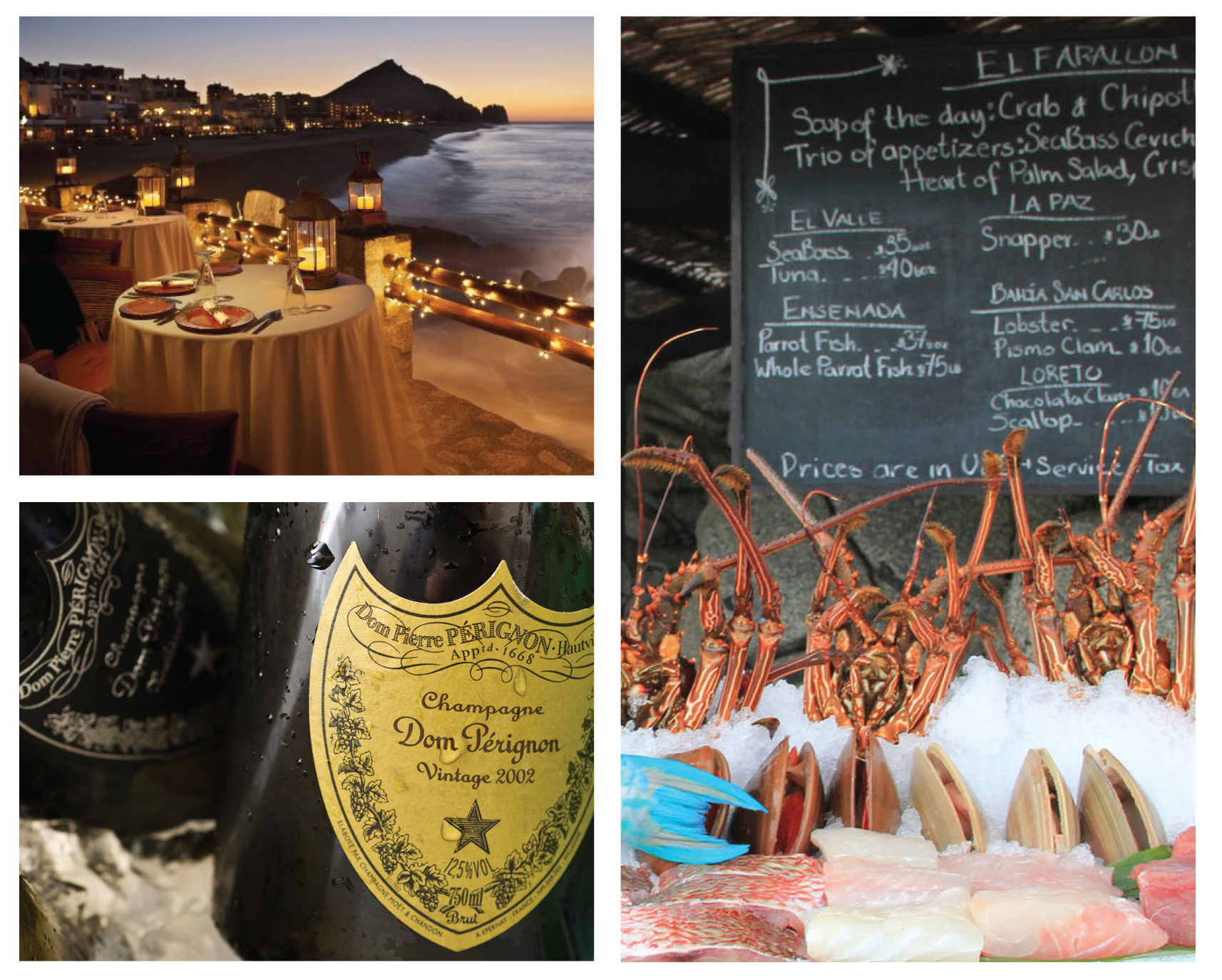 The Resort at Pedregal: Inspiration for el Farallon restaurant logo.
