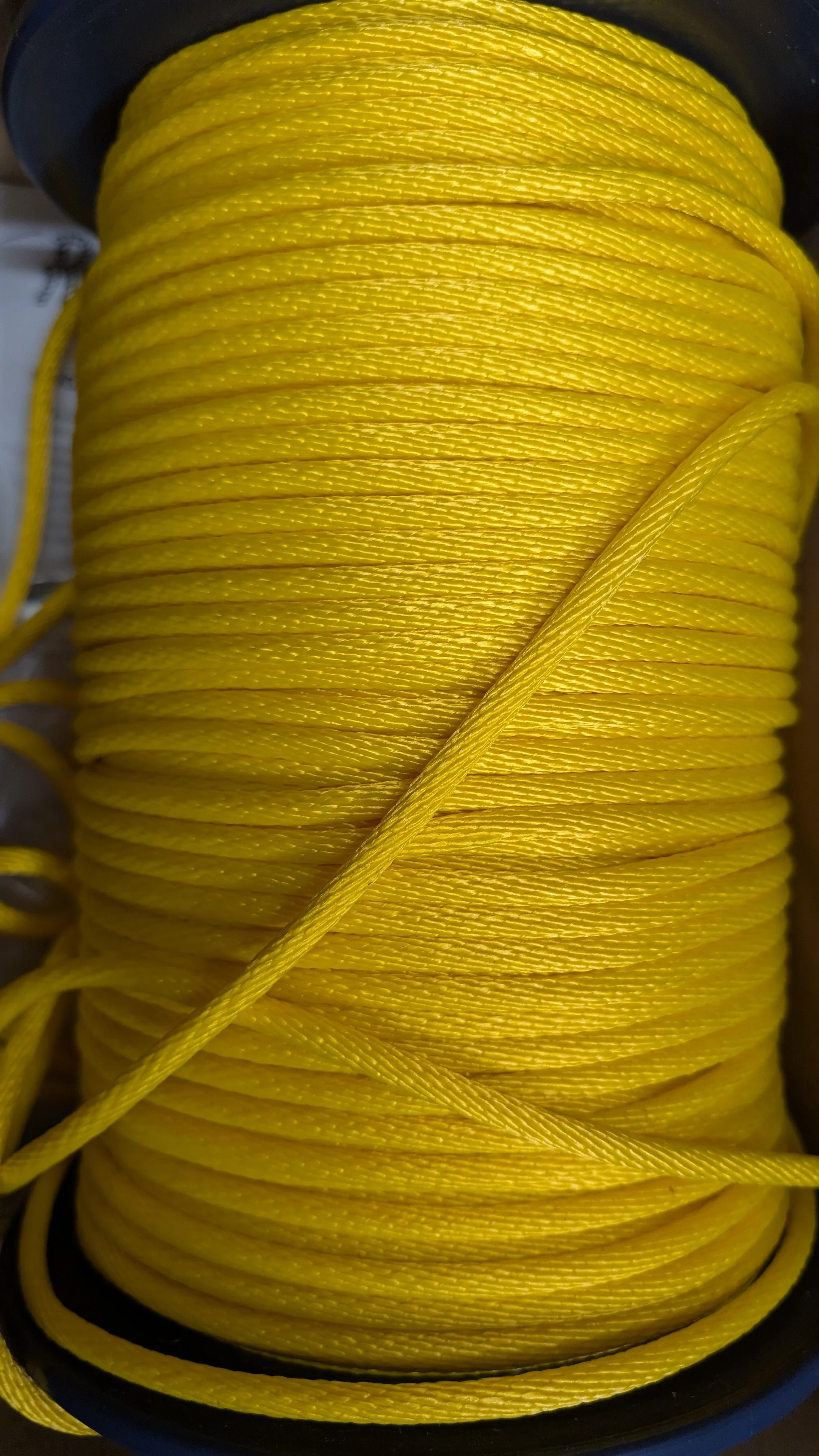 PXL_20261021_161636713.jpg