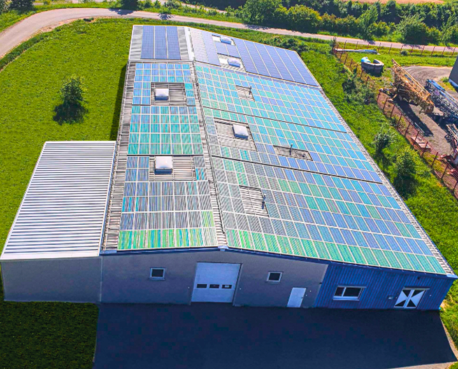 Zucceroo Plant, Weselberg, Germany