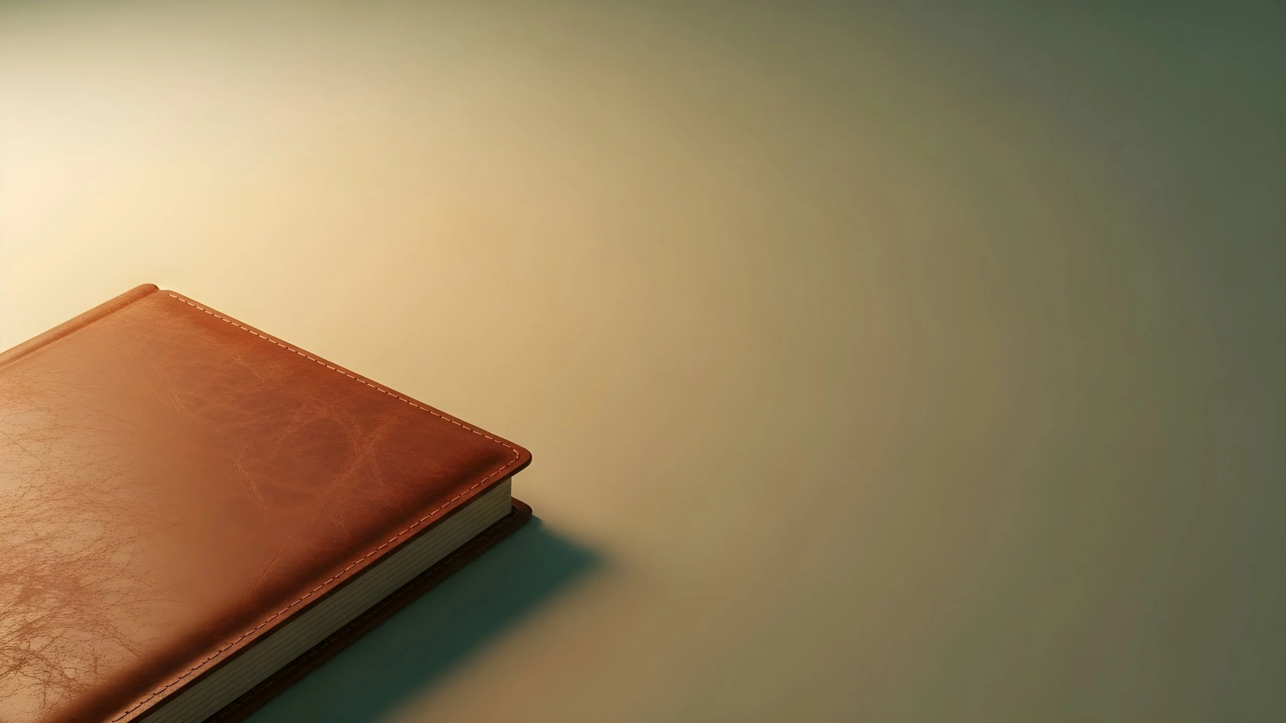 A closed leather-bound book with visible stitching on the cover placed on a smooth surface against a plain background.
