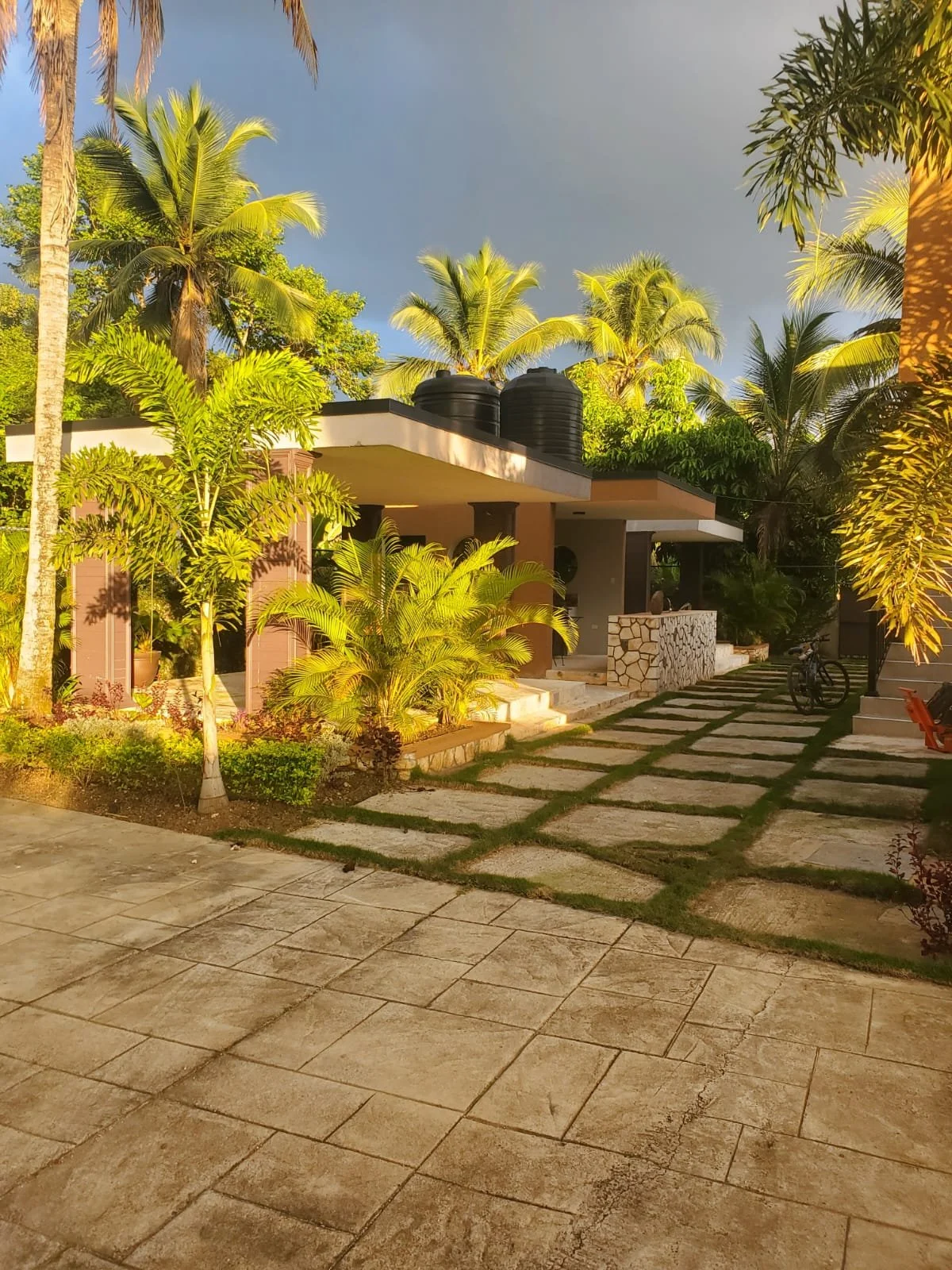Sunlit modern house with water tanks on roof, surrounded by tropical plants and palm trees, with a stone pathway and bike parked outside.
